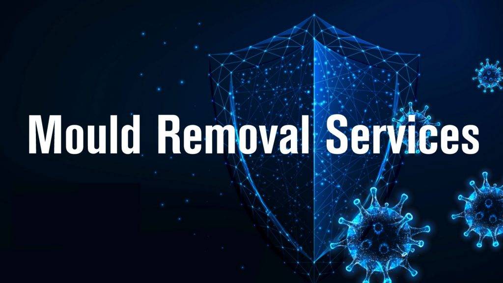 Mould Removal Services