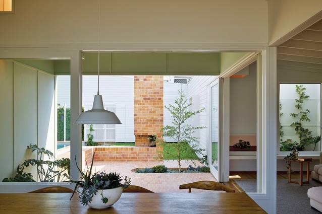 Home Pest Control Gold Coast